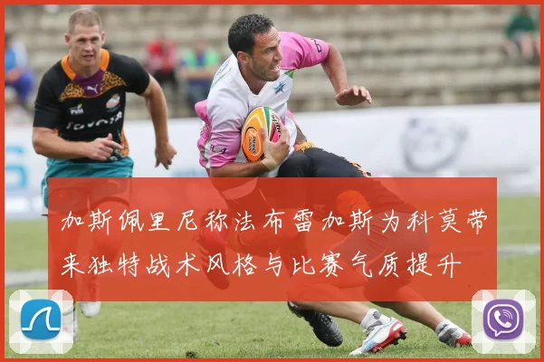 加斯佩里尼称法布雷加斯为科莫带来独特战术风格与比赛气质提升