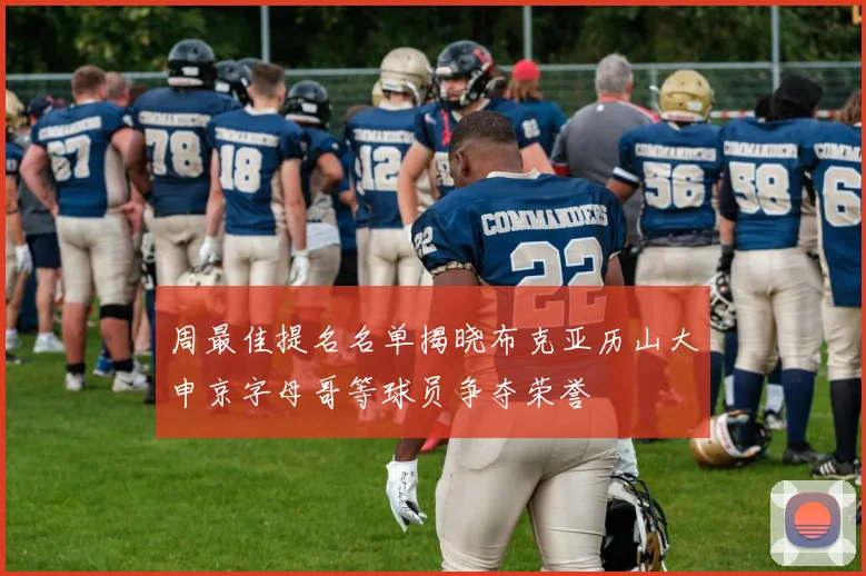 周最佳提名名单揭晓布克亚历山大申京字母哥等球员争夺荣誉