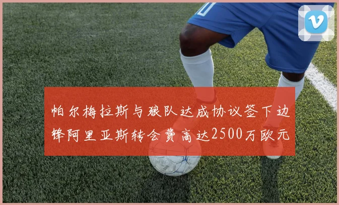 帕尔梅拉斯与狼队达成协议签下边锋阿里亚斯转会费高达2500万欧元